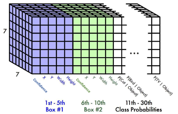yolov1_output